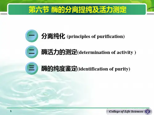 酶的分离纯化
