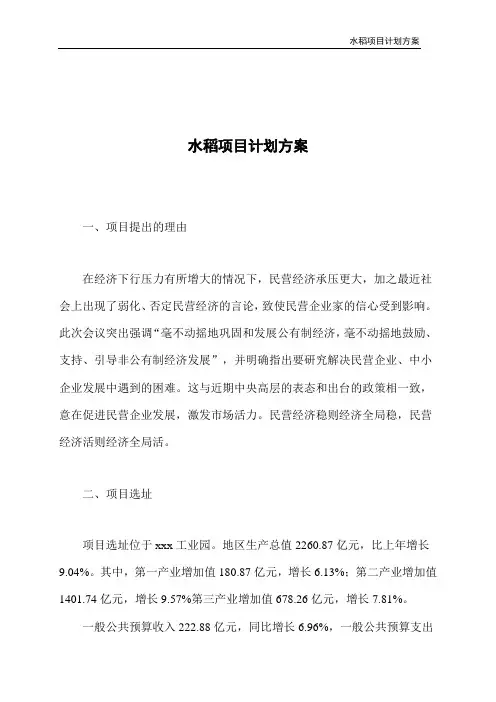 水稻项目计划方案