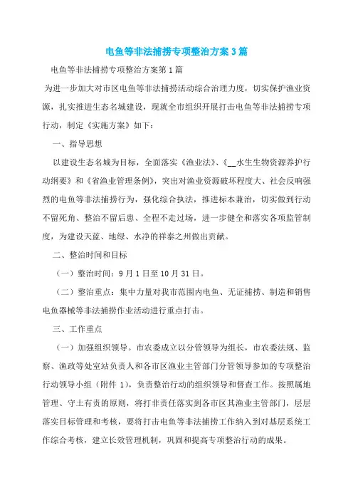 电鱼等非法捕捞专项整治方案3篇