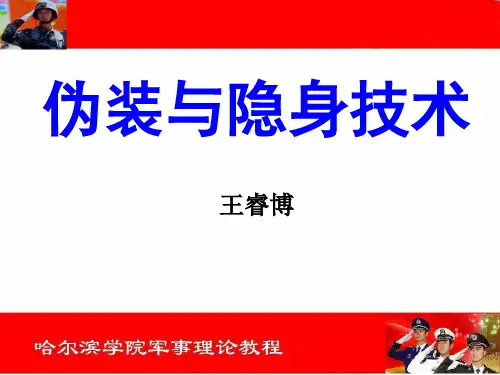 伪装与隐身技术