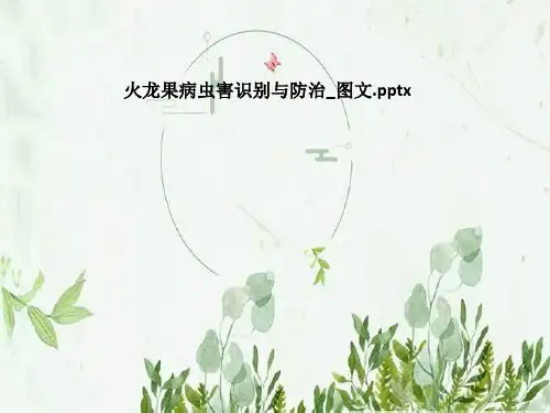 火龙果病虫害识别与防治_图文