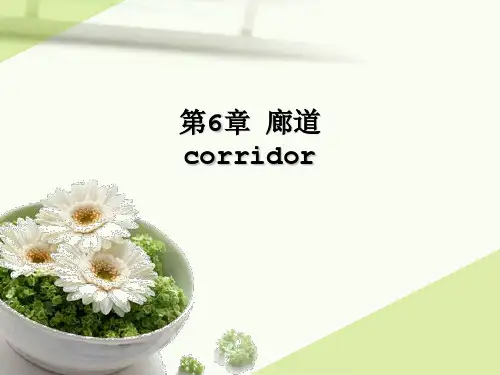 第6章 廊道