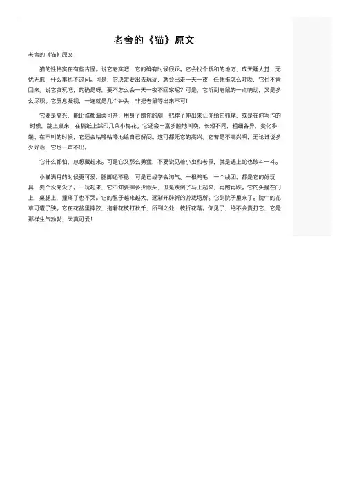 老舍的《猫》原文