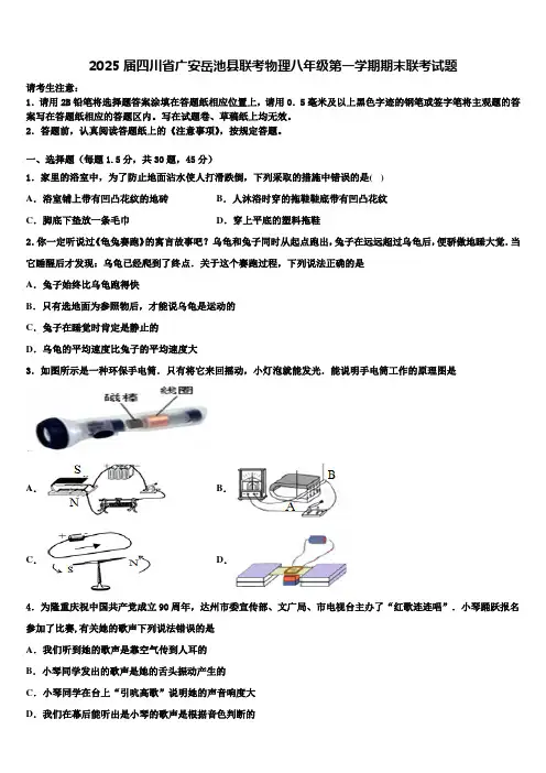 2025届四川省广安岳池县联考物理八年级第一学期期末联考试题含解析