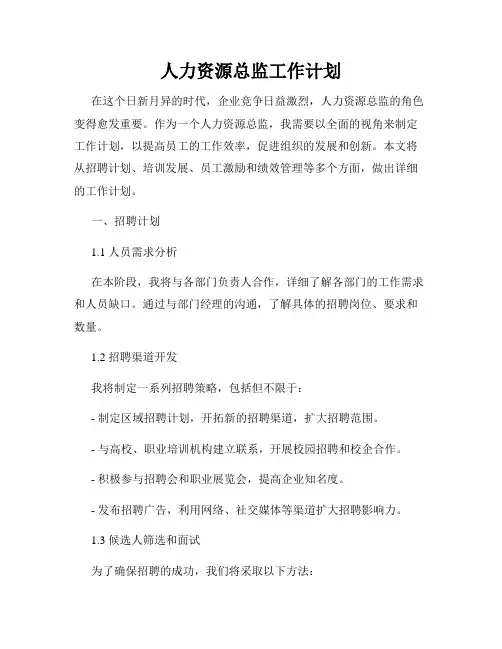 人力资源总监工作计划