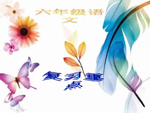 31六年级语文上册第六单元复习重点PPT课件