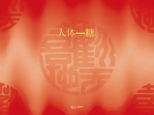 糖化血红蛋白讲解(教学课件)