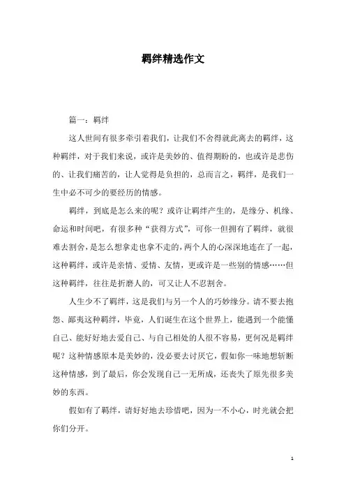 羁绊精选作文