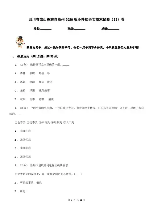 四川省凉山彝族自治州2020版小升初语文期末试卷(II)卷