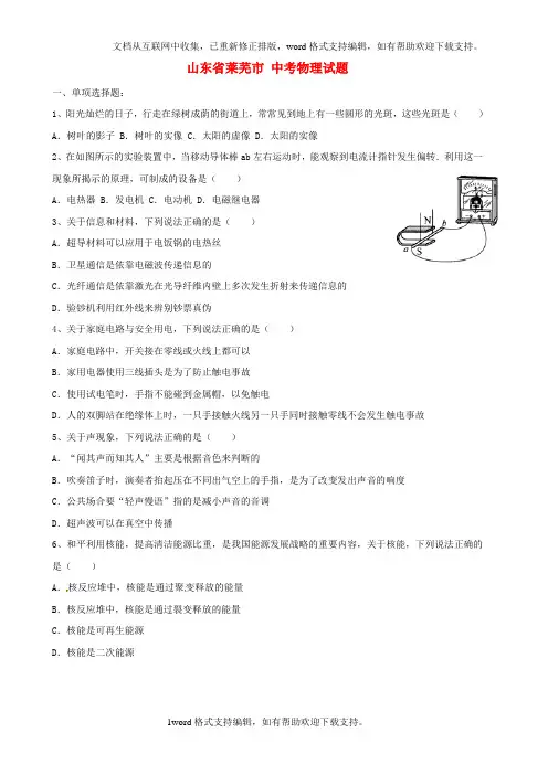 山东省莱芜市中考物理真题试题含答案