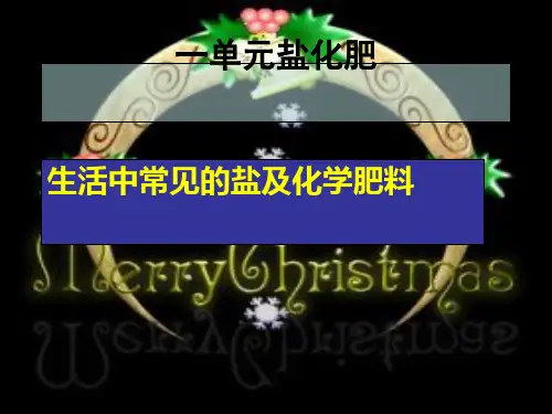 生活中常见的盐及化学肥料PPT课件