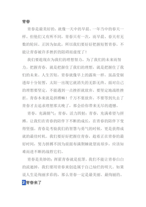 青春中考满分作文