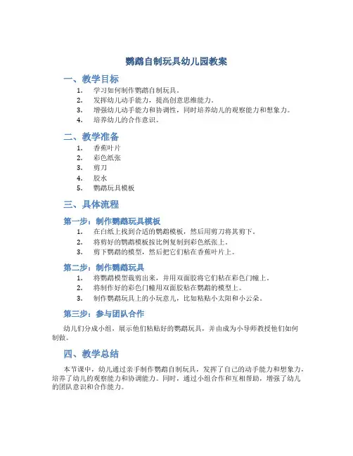 鹦鹉自制玩具幼儿园教案