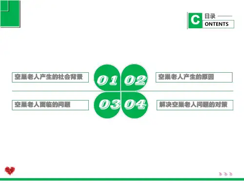 中特作业汇报关注空巢老人ppt课件