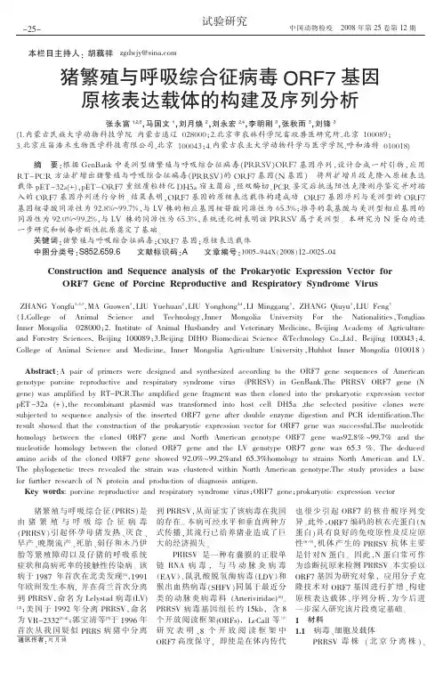 猪繁殖与呼吸综合征病毒ORF7基因原核表达载体的构建及序列分析