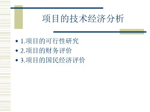 项目技术经济分析