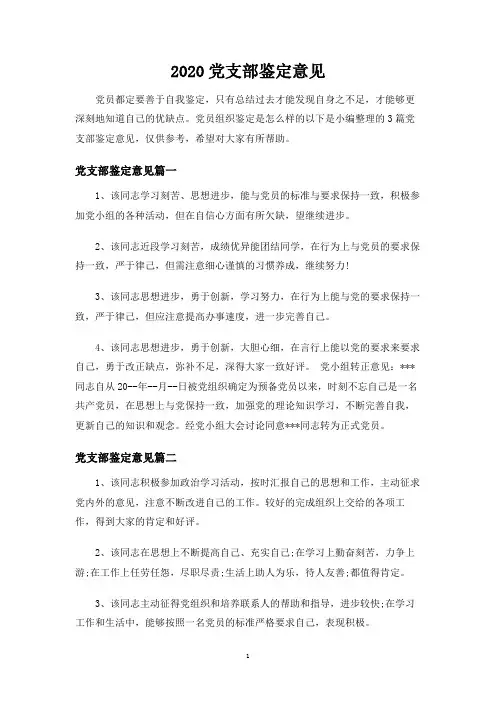 党支部鉴定意见
