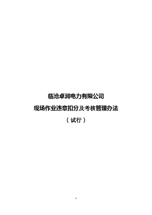 南方电网作业现场违章扣分管理办法