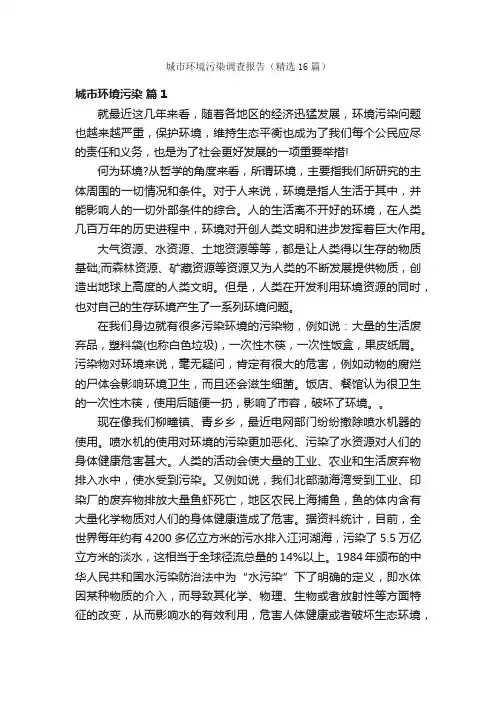 城市环境污染调查报告（精选16篇）