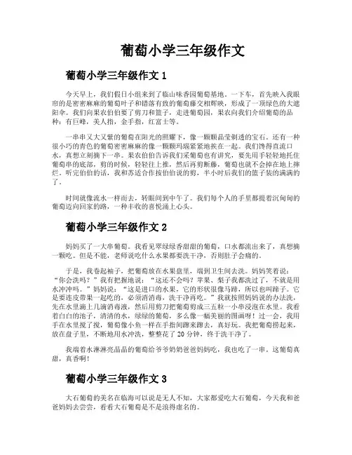 葡萄小学三年级作文