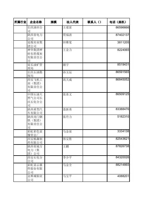 陕西大中型企业