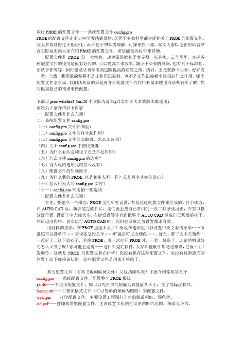 PROR中配置文件的设置