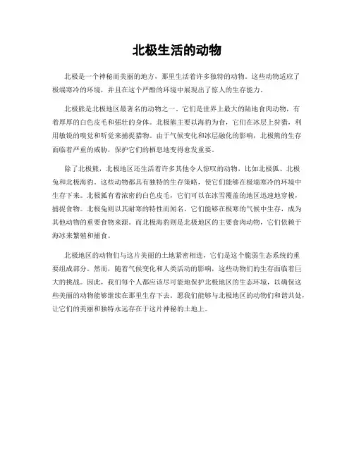 北极生活的动物