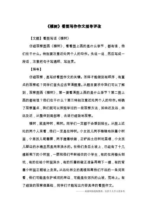 《植树》看图写作作文指导评改