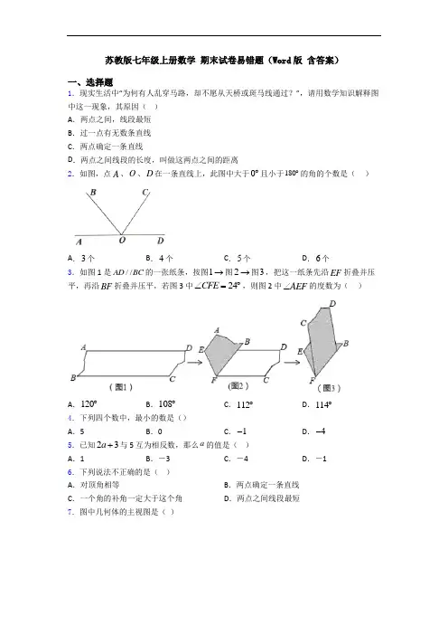 苏教版七年级上册数学 期末试卷易错题(Word版 含答案)