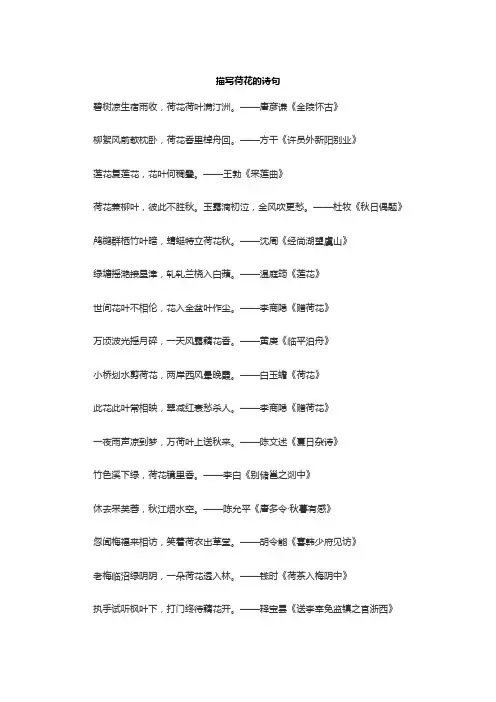 关于菏的古诗