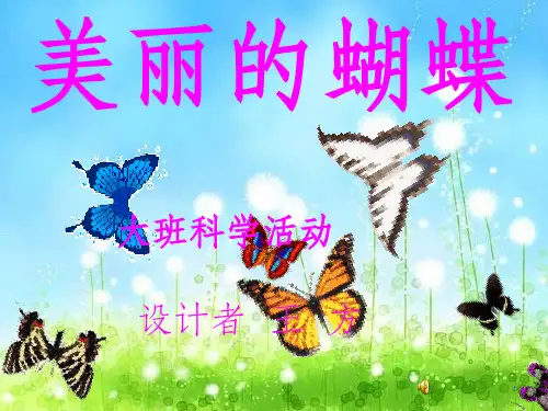 大班科学完整(1)：美丽的蝴蝶PPT课件