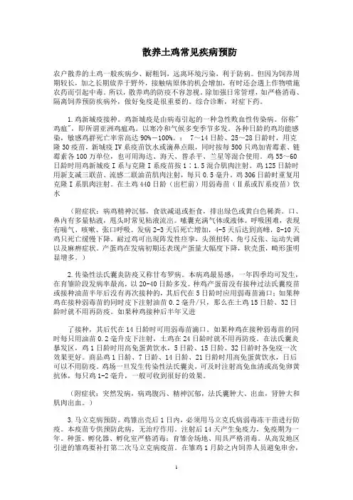散养土鸡常见疾病预防