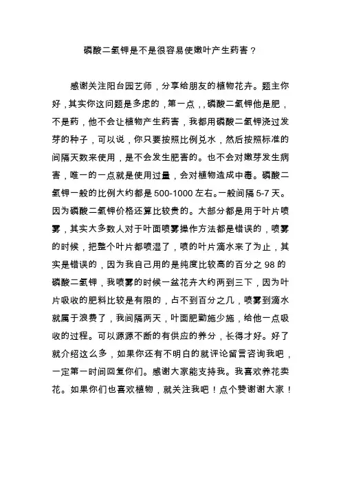 磷酸二氢钾是不是很容易使嫩叶产生药害？