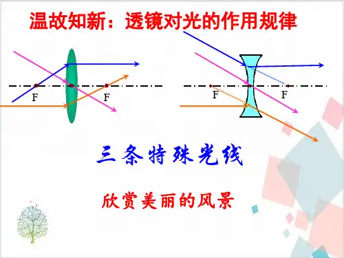 物理人教版《生活中的透镜》_PPT