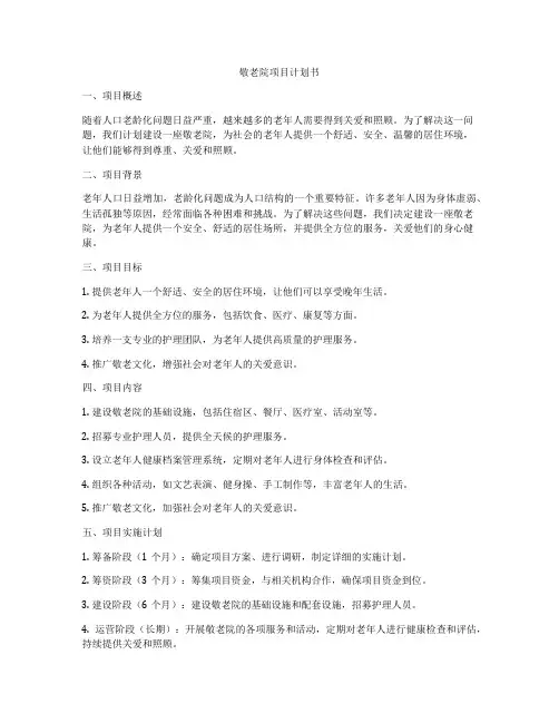 敬老院项目计划书