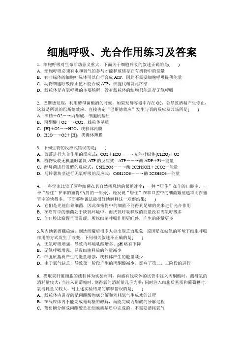 高考生物细胞呼吸与光合作用练习及答案