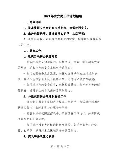 2023年青安岗工作计划精编