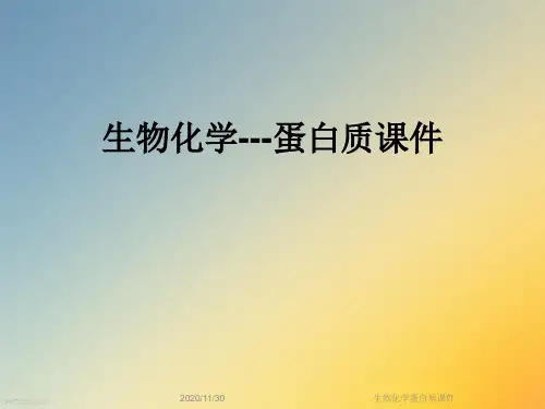生物化学蛋白质课件