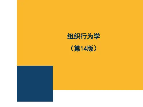 组织行为学课程案例(斯蒂芬.P.罗宾斯-第14版)