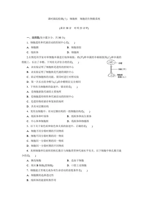2017-2018学年高中生物北师大版必修一课时跟踪检测十 