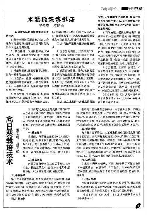 水稻抛秧移栽法