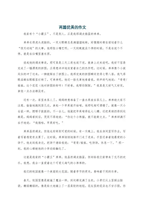 两篇优美的作文