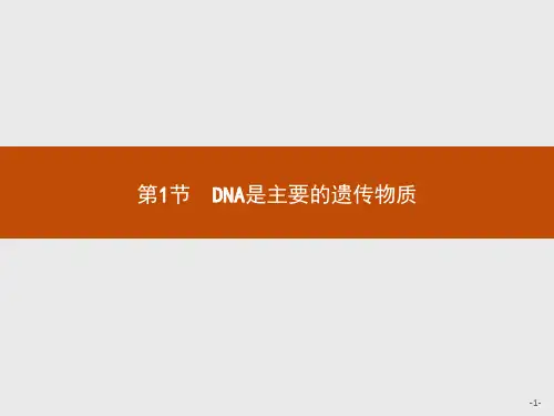 人教版高中生物学必修2精品课件 第3章 第1节 DNA是主要的遗传物质