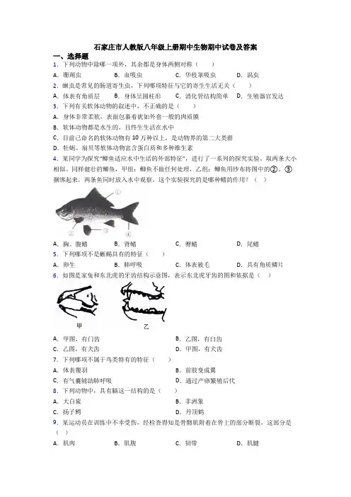 石家庄市人教版八年级上册期中生物期中试卷及答案