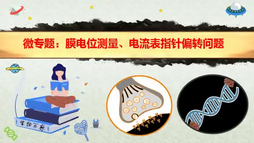 微专题-膜电位测量与电流表指针偏转问题