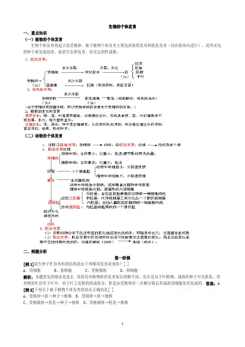 高二生物的个体发育