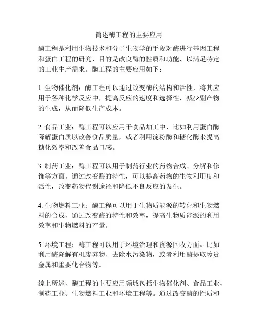 简述酶工程的主要应用