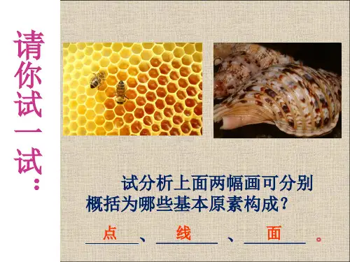 平面构成基础要素——线(1)