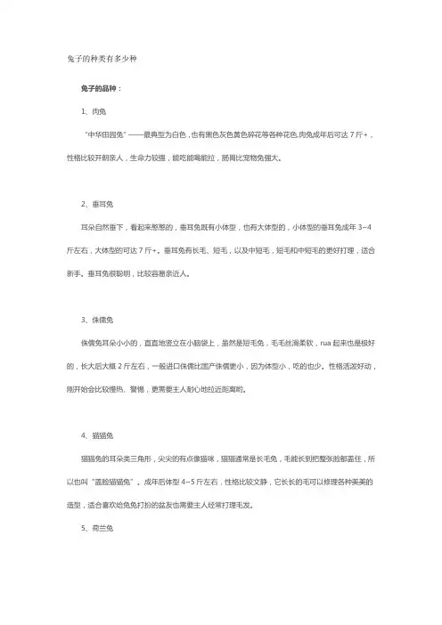 兔子的种类有多少种