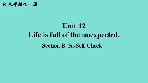 Unit 12 Life is full of the unexpected Section B课件